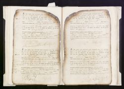 Scan
