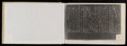 Scan