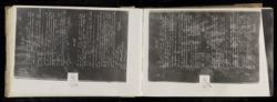 Scan