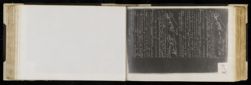 Scan
