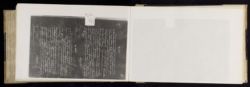 Scan