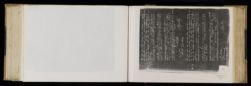 Scan