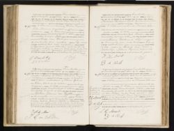 Scan