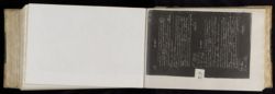 Scan