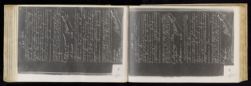 Scan