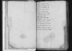 Scan