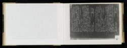 Scan