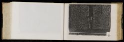 Scan