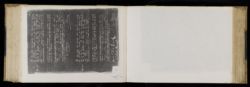 Scan