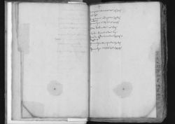Scan