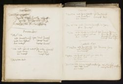 Scan