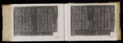 Scan