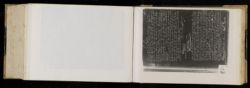 Scan
