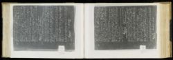 Scan
