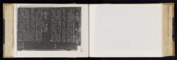 Scan