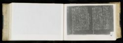 Scan