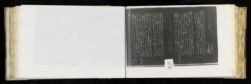 Scan