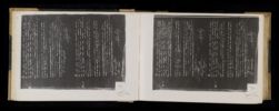 Scan
