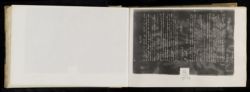 Scan