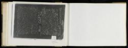 Scan