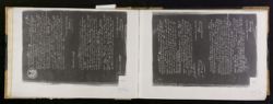 Scan