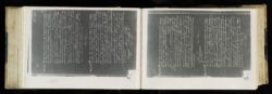 Scan