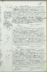 Scan