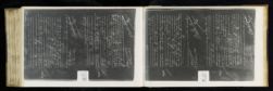 Scan