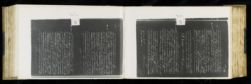 Scan