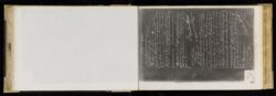 Scan