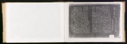 Scan