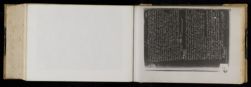 Scan