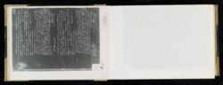 Scan