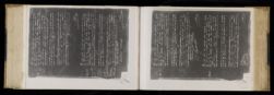 Scan