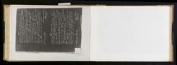 Scan