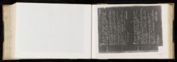 Scan
