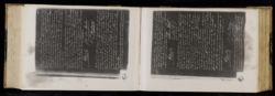 Scan