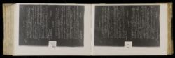 Scan