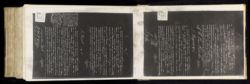 Scan