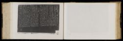 Scan