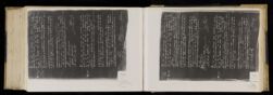 Scan