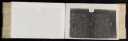 Scan