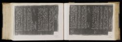 Scan