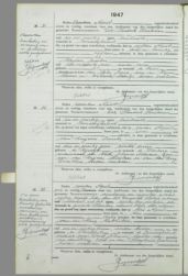 Scan