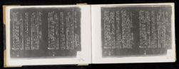 Scan