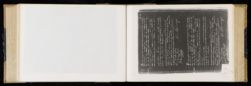 Scan