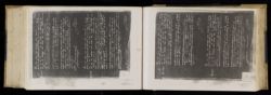 Scan