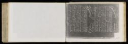 Scan